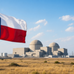 Fermi America e Hyundai E&C avanzano sui reattori AP1000 in Texas
