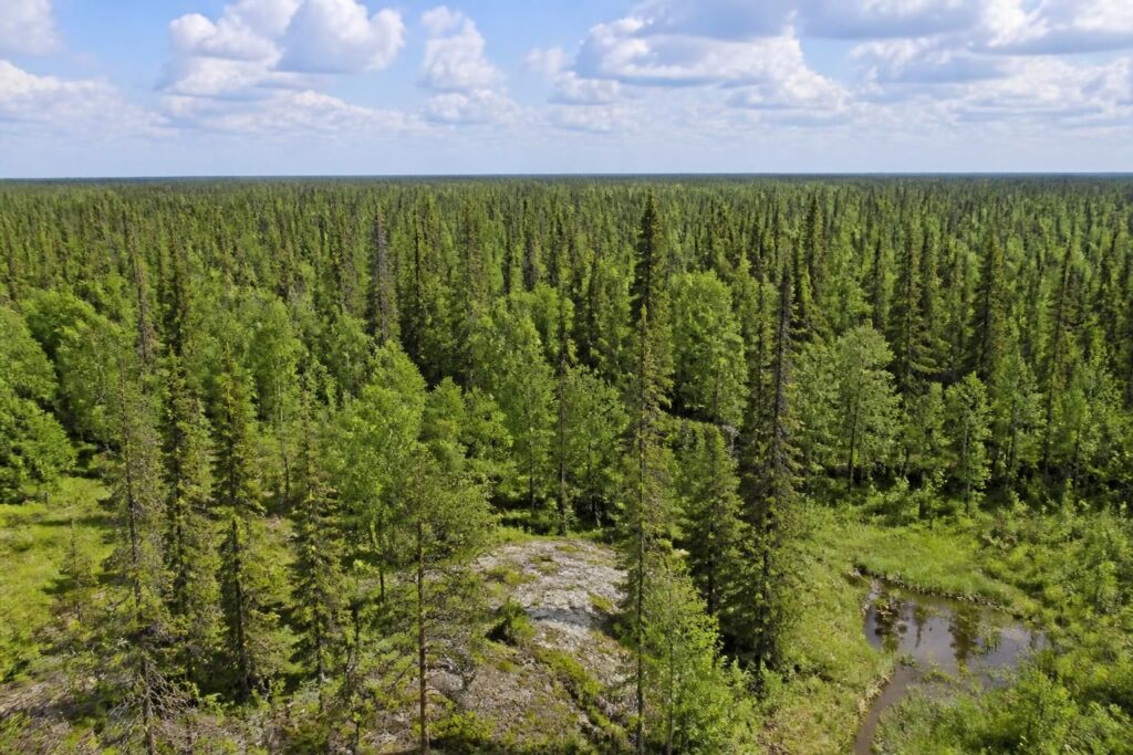 Greenridge and Denison Mines Complete 2026 Summer Program at Hook-Carter Uranium Project