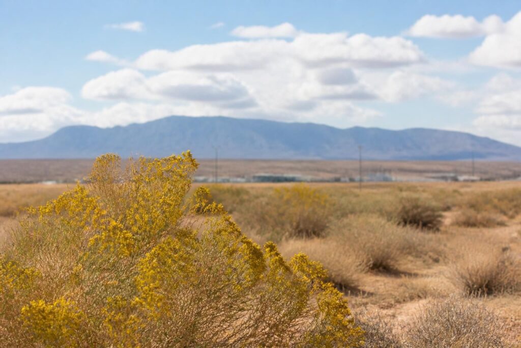 Pacific Fusion vince il premio Urban Project of the Year ad Albuquerque
